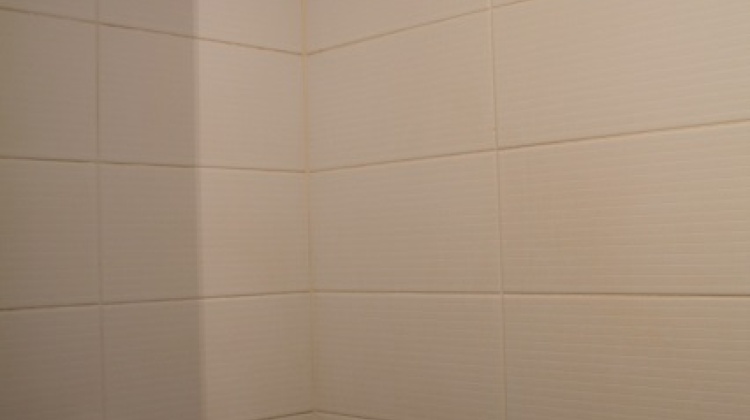 Zonnebloemweg 13, De Panne, ,Apartement,Te koop,Zonnebloemweg,1042